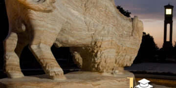 The 10 Best Universities in 2023