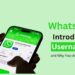 WhatsApp Introduces Usernames, and Why You should Get it too